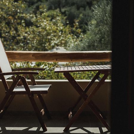 Acropolis Mystra Guesthouse Μυστράς Εξωτερικό φωτογραφία